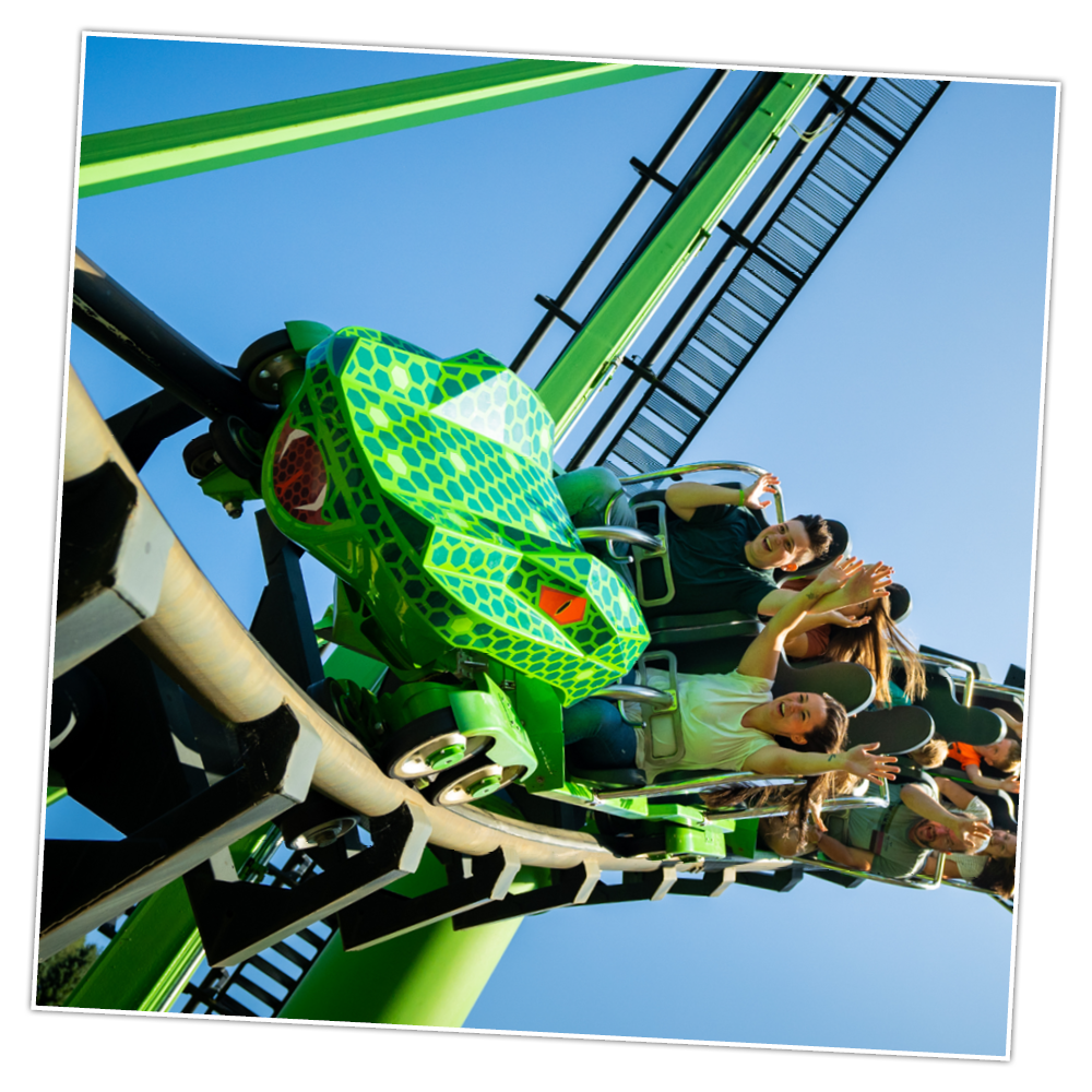 Achterbahn SpeedSnake FREE exklusiv fahren
