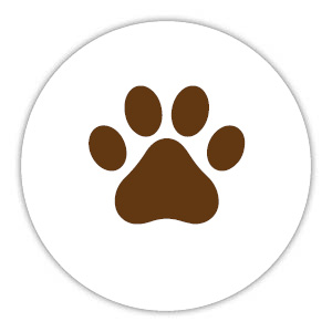 Eine Hundepfote als Icon.