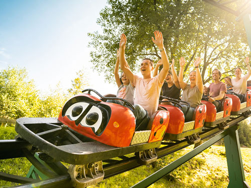 Die Marienkäferbahn liegt schön in einem kleinen Wald.